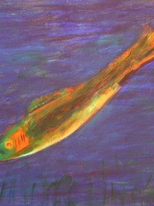 54WA-3676-156-TRUITE-30in.X24in.-Acrylic-on-Canvas