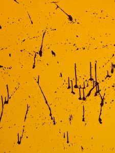 55A-3456-19-48in.X36in.-Acrylic-on-Canvas